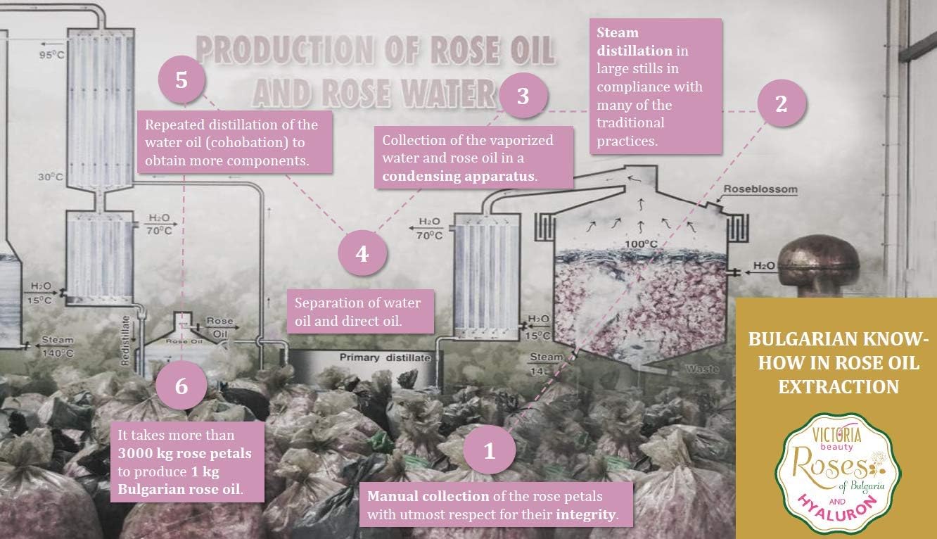 Vkctoria Beauty "Roses of Bulgaria and Hyaluron" Hand & Nail Cream with Bulgarian Rose Oil & Hyaluronic Acid Big size 100 ml