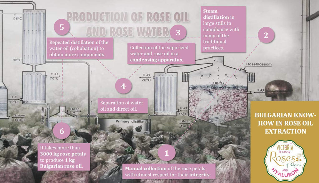 Victoria Beauty "Roses of Bulgaria and Hyaluron" Hydrating Face Cream with Bulgarian Rose oil and Hyaluronic acid 50ml