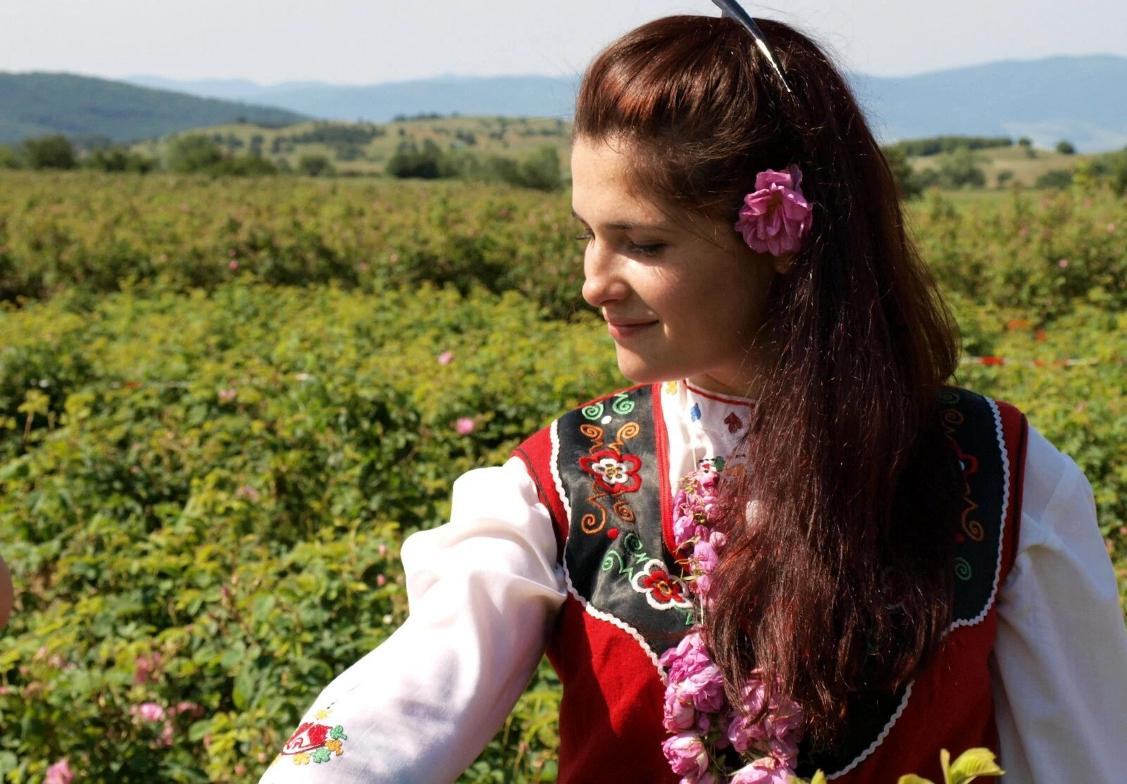 Lema 100% Natural Pure Bulgarian Rose Oil in a wooden souvenir 1.0 ml certified