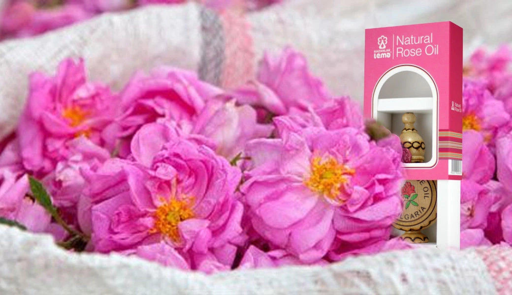 Lema 100% Natural Pure Bulgarian rose oil in a wooden souvenir 0.5ml certified