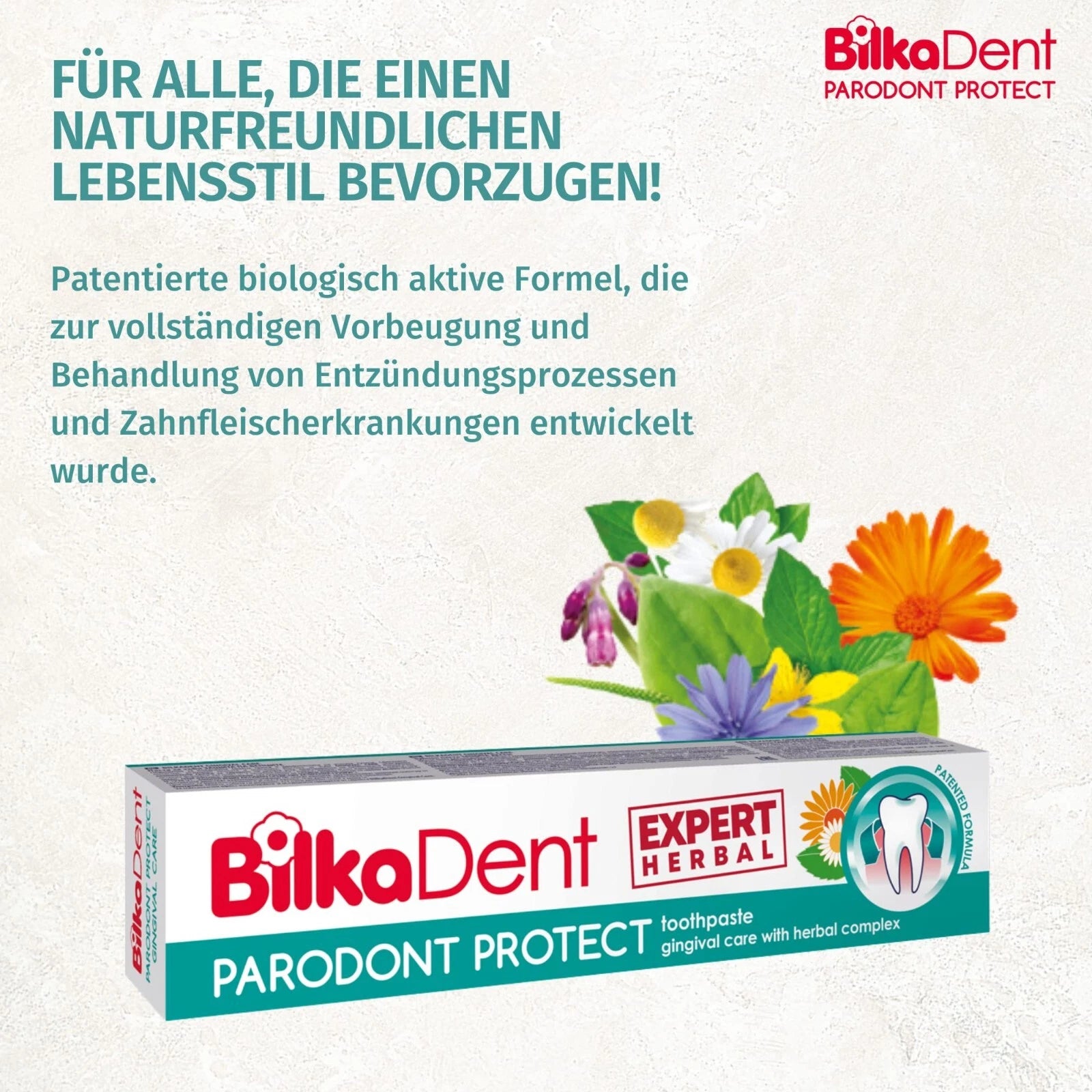 Bilka Dent  Paradont Protect Expert Herbal 75 ml Toothpaste Gingival Care with Herbal Complex